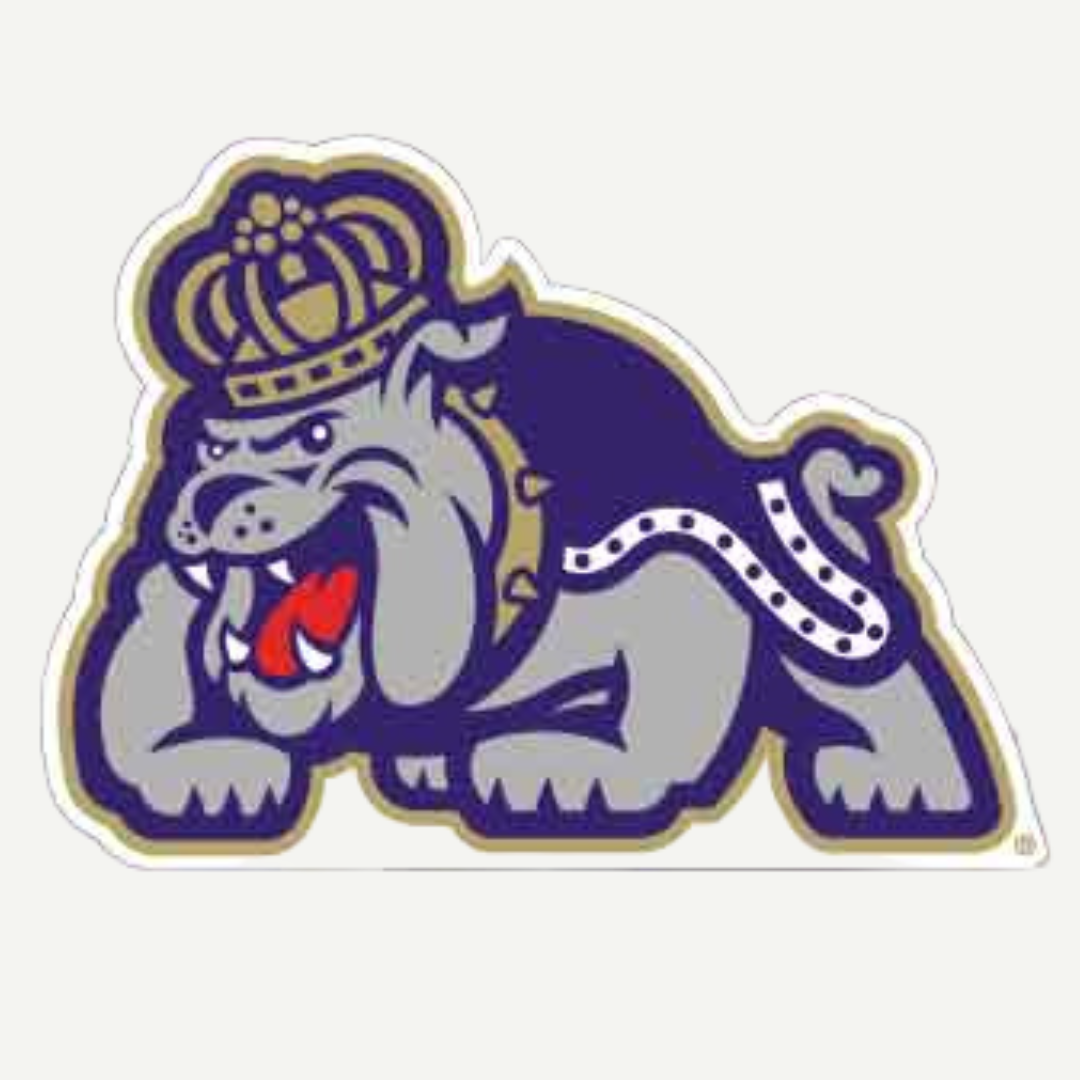 JMU 12 inch Printed Full Body Mascot cut out logo stand up-DUKE DOG