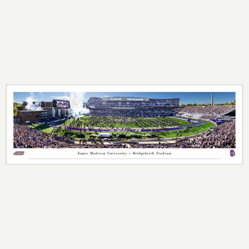 Panoramic view of a stadium with spectators and green fields, framed by a white border.