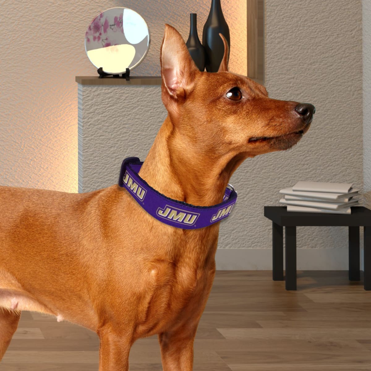 James Madison University Dukes Dog Collar