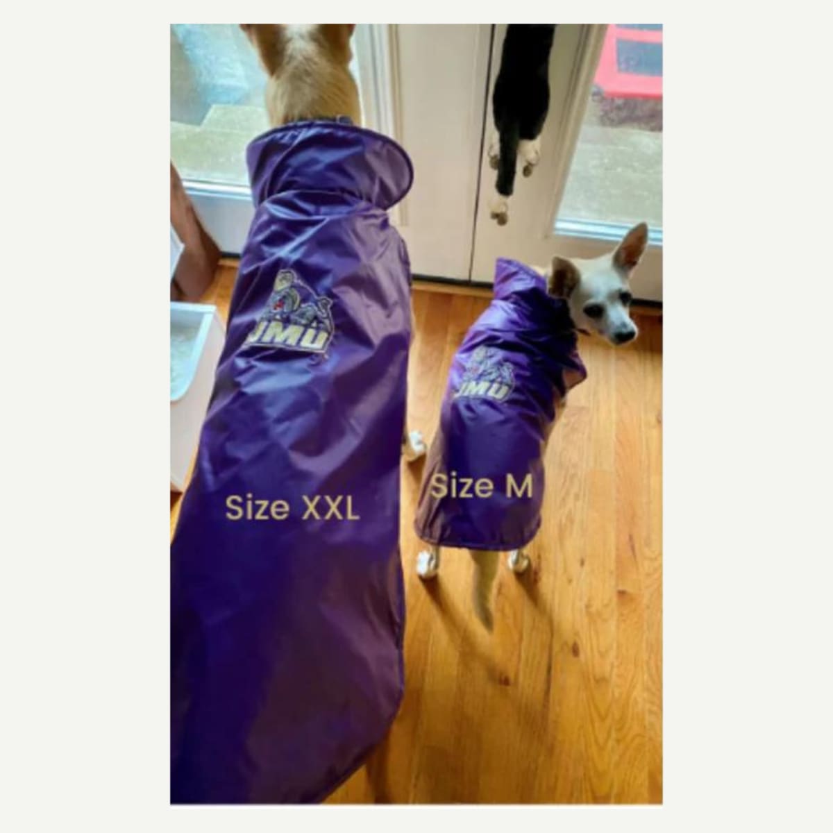 JMU Dukes Dog Outerwear Coat, Water-Resistant Pet Jacket, Wind-Resistant Dog Coat, Polar Fleece Lining, Embroidered Team Logo, Coated Oxford Outer Layer, Velcro Closure, Machine Washable, Dog Coat Sizes Tiny to XXL, Officially Licensed, Made in USA