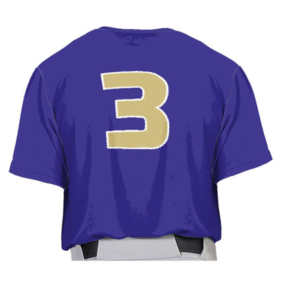 JMU Softball Jersey - CUSTOM PRODUCT